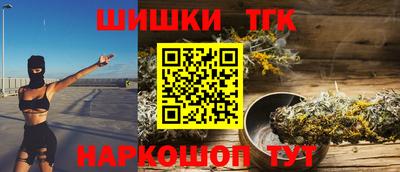 стафф Гатчина