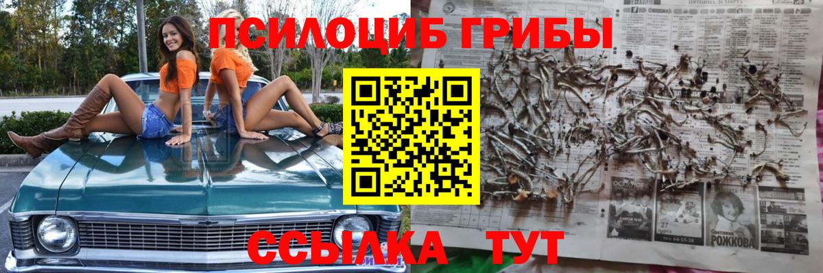 Назарово  Галлюциногенные грибы Psilocybe  Вход с VPN 